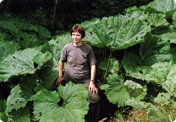 soil_image1